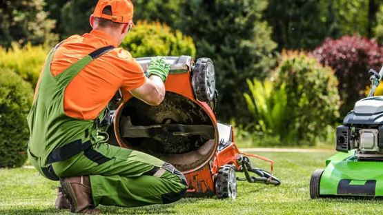 Curso online maquinaria jardinería